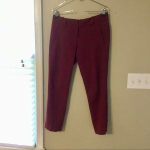 The Limited Red Petite Pants